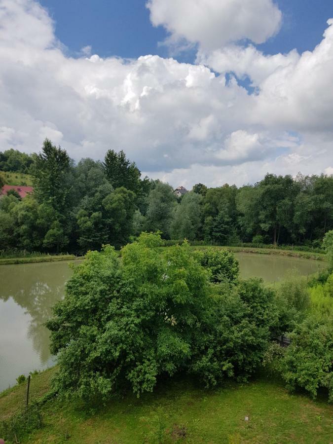 Na Stawach Guest House Stryszow Exterior photo
