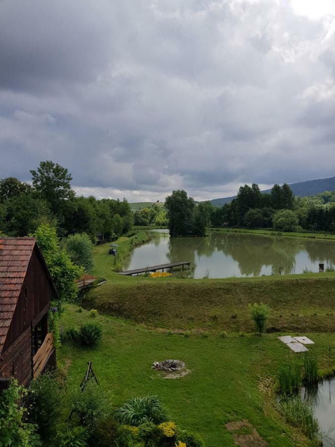 Na Stawach Guest House Stryszow Exterior photo